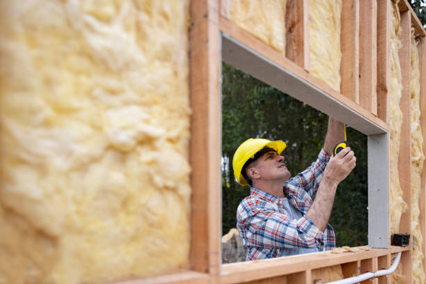 Best Insulation for New Construction  in Sugarland Run, VA